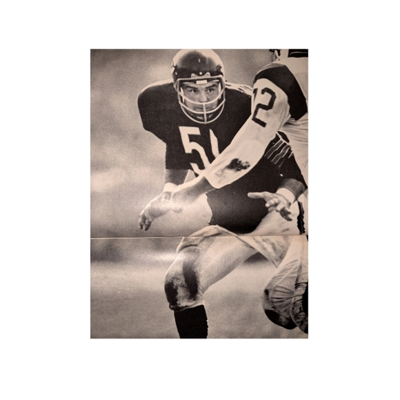 Life Magazine - Nov 5, 1965 - Picture 4 of 5